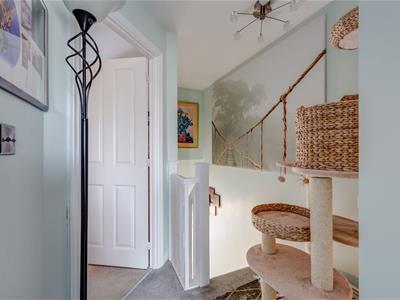 Picture 14